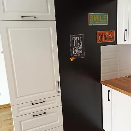 Kameralny Apartament Brzeziny * Olsztyn