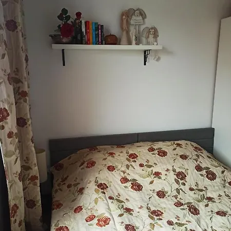 Apartman Kameralny Apartament Brzeziny *