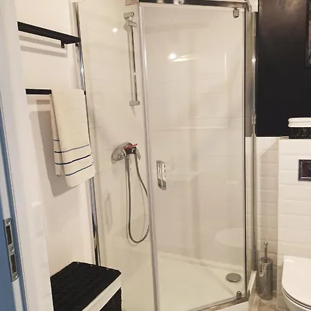 Apartman Kameralny Apartament Brzeziny *